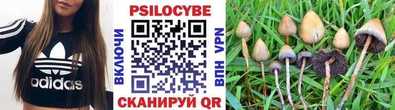 Псилоцибиновые грибы GOLDEN TEACHER  Нальчик 