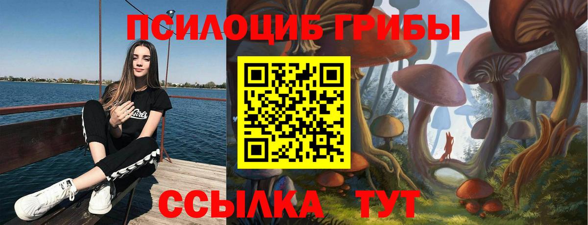 Нальчик  Псилоцибиновые грибы мицелий  Вход с VPN  Псилоцибиновые грибы Cubensis 