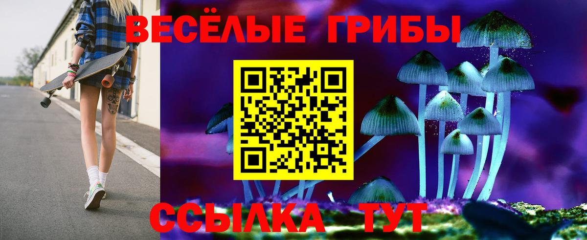 Псилоцибиновые грибы Psilocybine cubensis Нальчик
